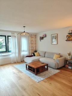 Private room and bathroom in Schlieren Zurich - 0