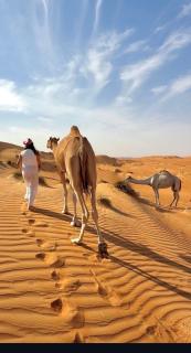 Aman dome desert - 7