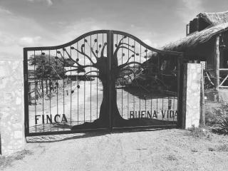 Finca Buena Vida - 0
