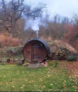 Urlaub auf dem Rittergut Friedeburg - mit direkter Nähe zur Saale - 9