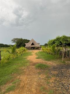 Finca Buena Vida - 6