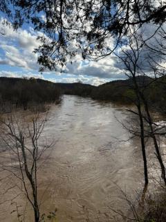 Kings River Micro Cabin - 8