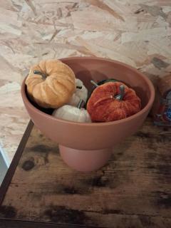 Le Stud'Eure - Saint-André-de-lʼEure - 8