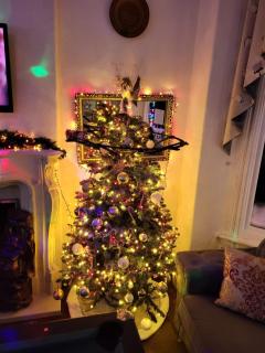 MyRoomz Tudor Rose Original - 9