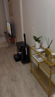 Beautiful Strasbourg apartment, 2 high standing rooms - 2