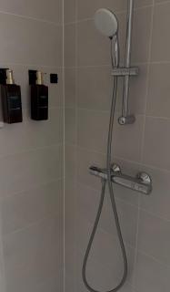 Beautiful Strasbourg apartment, 2 high standing rooms - Ostwald - 6