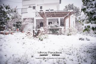 Mikros Paradisos Pelion - 9