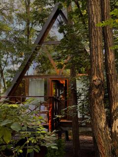Porumbacu Treehouse - 7