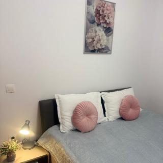 Casa Augusta - Timişoara - 4