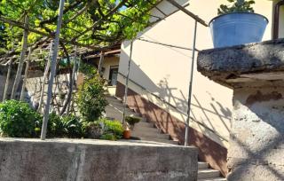 Holiday Home Secret Garden by Villas Guide - Dobreć - 4