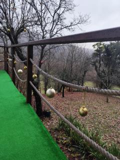 UNDER THE GREEN ROOF - 8