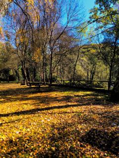 Los Naranjos de Jerte - 8