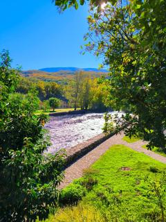 Los Naranjos de Jerte - 9