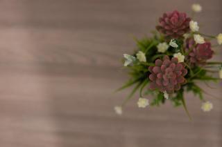 Dimora Saracena - Adrano - 1