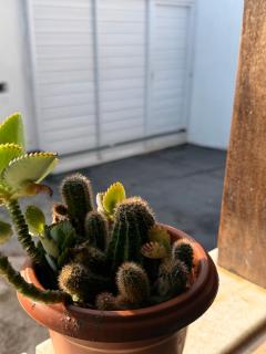 Casa Loft Mob 2 suítes próx Arena Castelão - 1