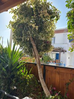 Seaview Sanctuary House - 1