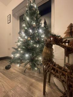 2 Bed Town Centre Apt in Porthcawl, parking, Wifi ,Sky & Netflix - 8