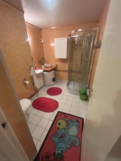 Romslig leilighet i Tomasjord - 5