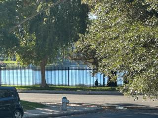 Tranquil Getaway - 7