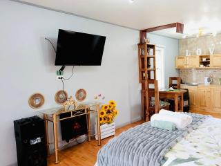 Mini refugio chillan - 8