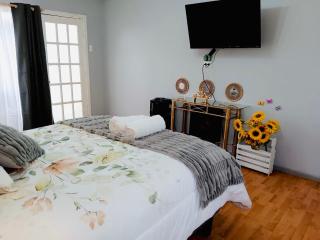 Mini refugio chillan - 5