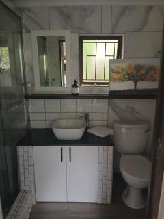 Quirky Tiny House - Kloof - 1