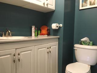 2 et demi au centre économique de la ville - 2