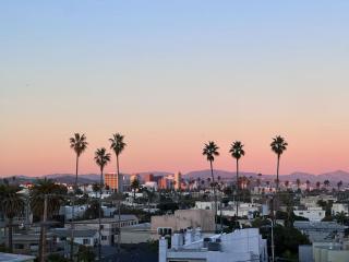 Luxury 2BD 2BA with Roof Top Pool, Hot Tub & Gym - 2