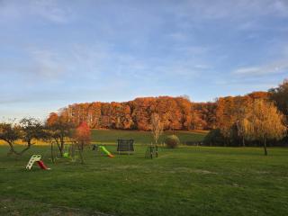 Home Sweet Vosges gîte Montana - 6