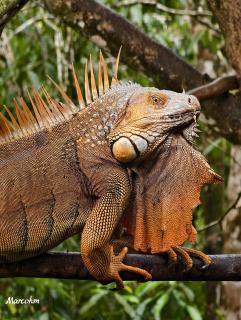 Hotel Pedacito de Cielo - 8