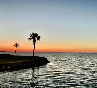 Sandestin Bayfront Studio with balcony and breathtaking views - Destin - 4