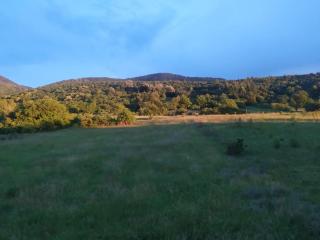 Natura Lux & Parking Free - Green Hill, blizu Akva parka - 7