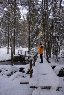 Panoramablick Höllbachtal - Rettenbach - 2