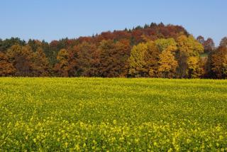 Panoramablick Höllbachtal - Rettenbach - 3