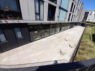 Club Bamboo Pilar - 8