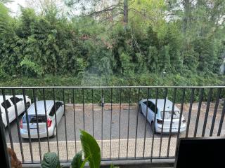 Club Bamboo Pilar - 5