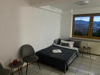 Ferienwohnung in Rheinfelden, Grenznähe und Blick auf die Schweiz - 5