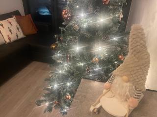 Coney View , Porthcawl - 5