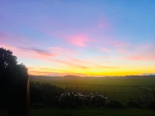 Kauri Cabins Time to relax - 4