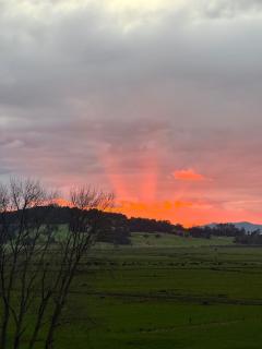 Kauri Cabins Time to relax - 3