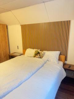 Upstairs include bedroom, and living room - 0