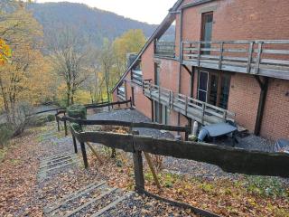 Le Rouge Gorge Curieux - 2