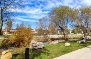 Julia Apartments Decebal - new, central, train station, park, self check-in - 5