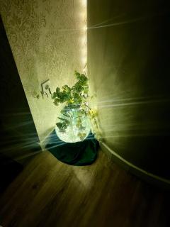 Torres de la Catedral - 3