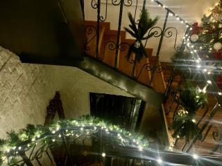 Torres de la Catedral - 4