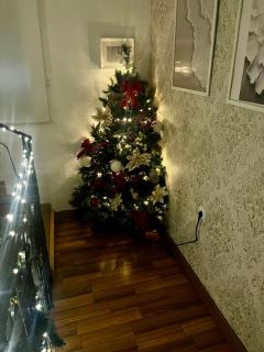 Torres de la Catedral - 6