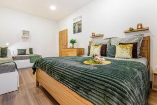 Apartmán Šumava-Rejštejn - 4