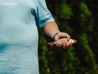 Schlaffass und Tiny House am See, Spa mit Sauna und Hot Tub, angeln, Boot, Natur - Twist - 1