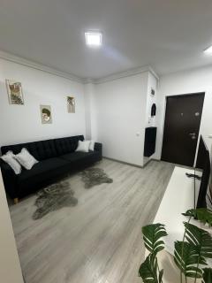FLH - Olive Apartment - Sibiu - 7