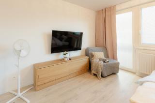 BNB Airport apartment with balcony - 6